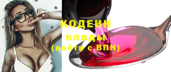 ГАЛЛЮЦИНОГЕННЫЕ ГРИБЫ Баксан