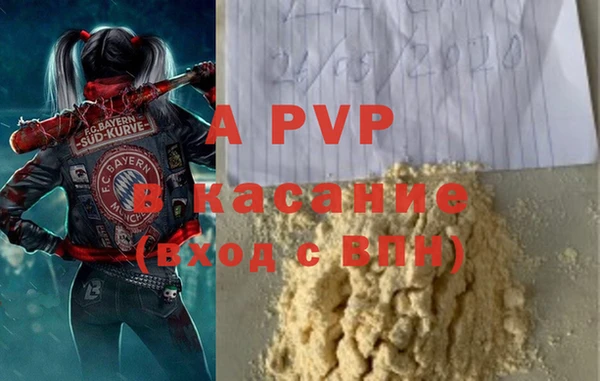 ГАЛЛЮЦИНОГЕННЫЕ ГРИБЫ Баксан